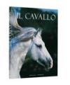 Il cavallo