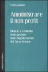 Amministrare il non profit. Bilancio e controllo nella gestione delle organizzazioni del terzo settore