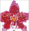 Orchidee