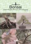 Piante e natura. Bonsai