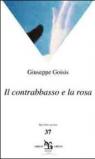 Il contrabbasso e la rosa