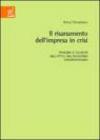 Il risanamento dell'impresa in crisi. Problemi e soluzioni nell'ottica dell'insolvenza trnsfrontaliera