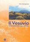 Il Vesuvio. Storia di un vulcano a rischio