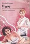 Il gay. Dove si racconta come è stata inventata l'identità omosessuale