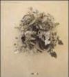 Lawrence Carroll. Ediz. illustrata
