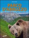 Parco d'Abruzzo. I monti dell'orso e del camoscio