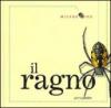 Il ragno. Ediz. illustrata