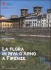 La flora in riva d'Arno a Firenze