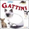 Gattini