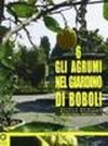 Gli agrumi nel giardino di Boboli