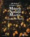 Museo della natura morta