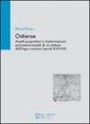 Ostiense. Assetti proprietari e trasformazioni economico-sociali di un settore dell'Agro romano (secoli XVIII-XX). Ediz. illustrata