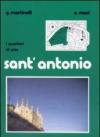 I quartieri di Pisa: Sant'Antonio