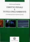 Diritto penale e tutela dell'ambiente: tra responsabilità individuali e degli enti