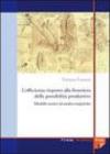 L'efficienza rispetto alla frontiera delle possibilità produttive. Modelli teorici e analisi empiriche