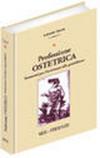 Professione ostetrica. Strumenti per l'assistenza alla gravidanza