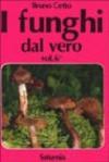 I funghi dal vero: 6