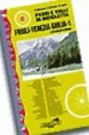 Passi e valli in bicicletta. Friuli Venezia Giulia. 1.Alpi e Prealpi Carniche