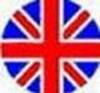 I verbi inglesi