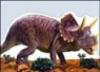 Triceratopo