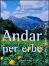 Andar per erbe sui monti lecchesi. Dove raccogliere e come gustare i germogli spontanei commestibili