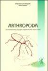 Arthropoda