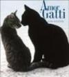 Amor di gatti