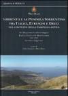 Sorrento e la penisola sorrentina tra italici, etruschi e greci nel contesto della Campania antica