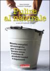 Pulire al naturale. Ricette semplici ed ecologiche per la casa e il bucato senza l'utilizzo di prodotti tossici e inquinanti