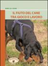 Il fiuto del cane tra gioco e lavoro