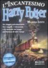 L'incantesimo Harry Potter