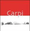 Carpi. Panorami e prospettive. Ediz. illustrata