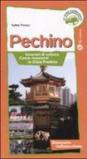 Pechino. Itinerari di cultura, come muoversi, la Città Proibita