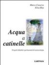 Acqua a catinelle. Progetti didattici sperimentali di meteorologia