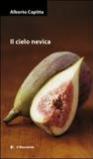 Cielo nevica (Il)