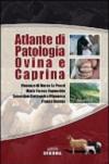 Atlante di patologia ovina e caprina