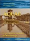 Aque. La gestione dell'acqua oltre l'unità d'Italia nella pianura emiliana. Celebrazione del 525° anno dallo scavo del «Cavamento Foscaglia» 1487.-2012