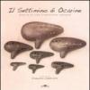 Il settimino di Ocarine. Storia di una tradizione italiana. Con CD Audio
