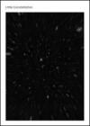 Little constellation. Contemporary art in geo-cultural micro areas and small states of Europe. Ediz. multilingue