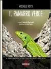 Il ramarro verde