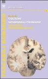 Studio su colture neuronali primarie degli effetti dei monomeri (1-42)