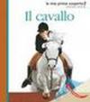 Il cavallo