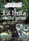 La linfa nelle vene. Alberografie a Nord-Ovest lungo gli itinerari dei grandi alberi