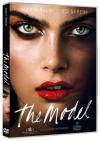 The Model