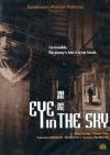 Eye In The Sky