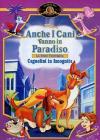 Anche I Cani Vanno In Paradiso - Cagnolini In Incognito