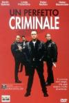 Perfetto Criminale (Un)