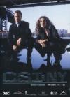 C.S.I. New York - Stagione 01 #02 (Eps 13-23) (3 Dvd)