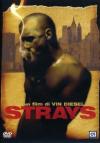 Strays