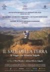 Sale Della Terra (Il)